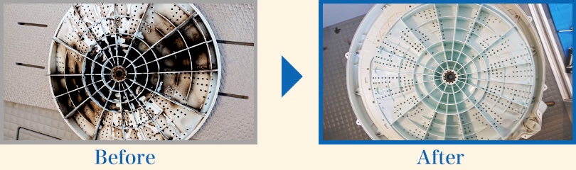 大阪市住吉区の洗濯機クリーニングでカビのアレルゲンを除去