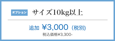 大阪市港区 大型洗濯機クリーニング