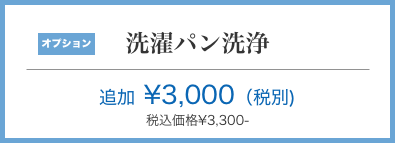 大阪市生野区 洗濯パンクリーニング